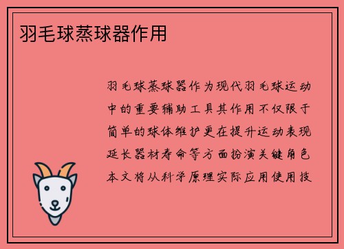羽毛球蒸球器作用